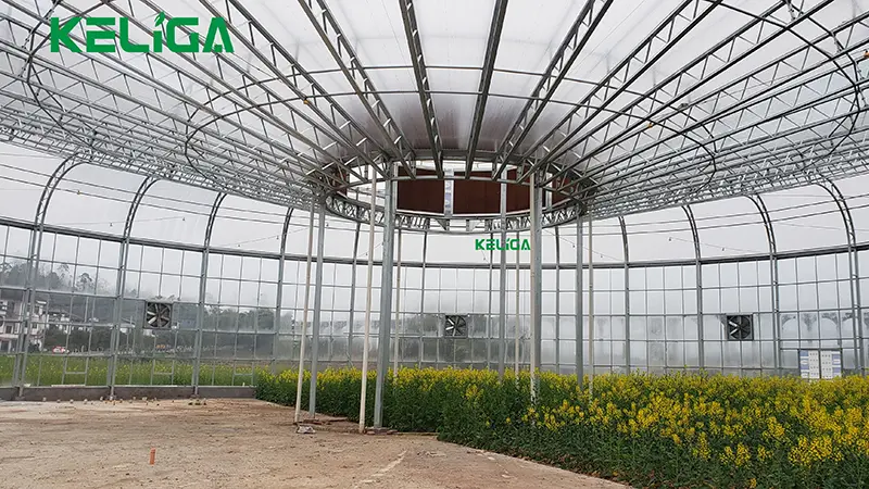 Aesthetic Round Shape Custom Greenhouse for Global Farming and Garden Projects