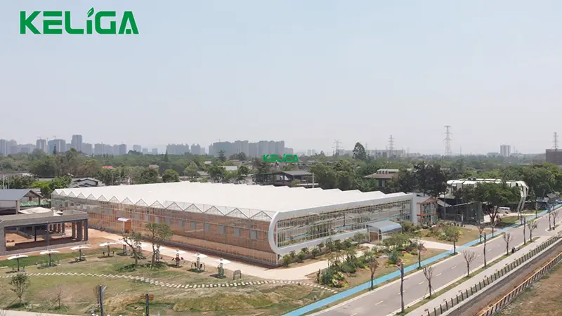 Customized greenhouse (1)