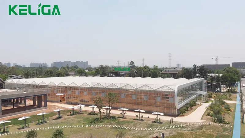 Customized greenhouse (2)