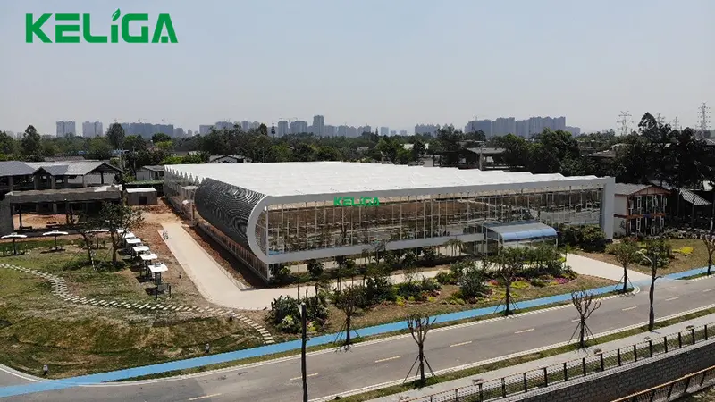 Customized greenhouse (3)