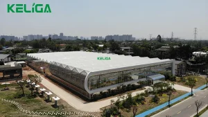 Customized greenhouse (5)
