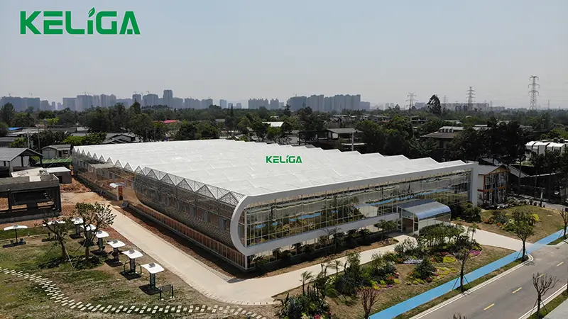 Customized greenhouse (5)