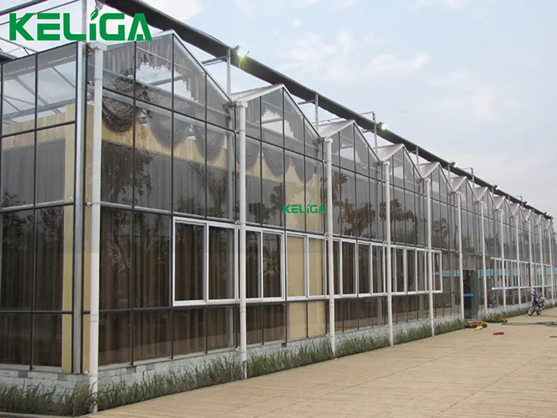 Customized Restaurant Glass Greenhouse Project for Global Catering Venue Construction