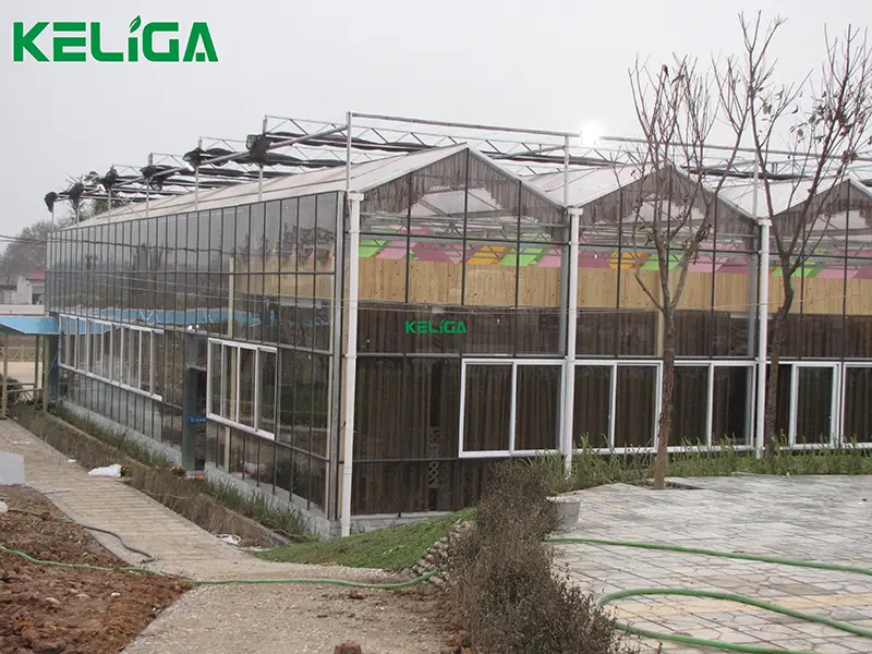Luxury Landscape Restaurant Glass Greenhouse Project for High-End Catering