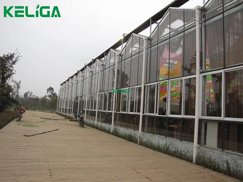 Eco-Friendly Restaurant Glass Greenhouse Project for Global Catering Venue Construction