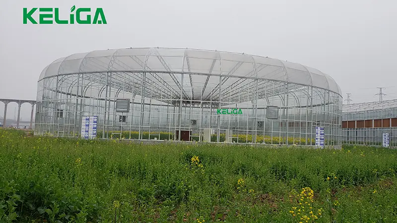 Innovative Round Custom Greenhouse with Tailored Design for Modern Agricultural Needs