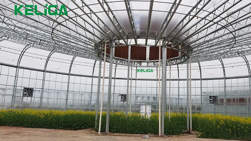 Round shape customized greenhouse