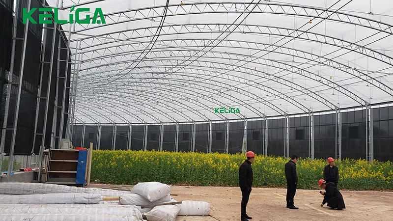 Round shape customized greenhouse