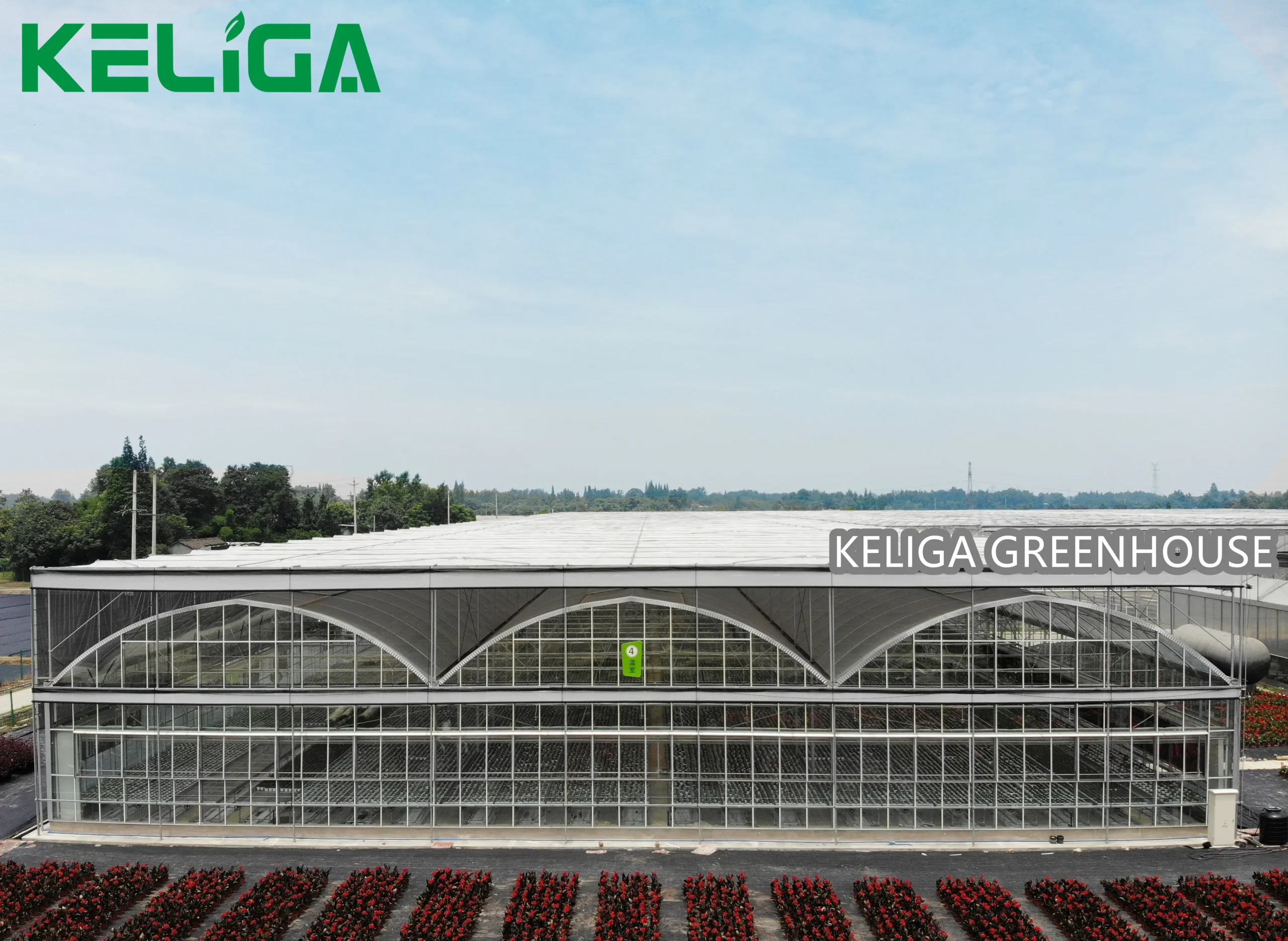 Glass and Plastic Combine Greenhouse for Home & Small-Scale Daily Planting