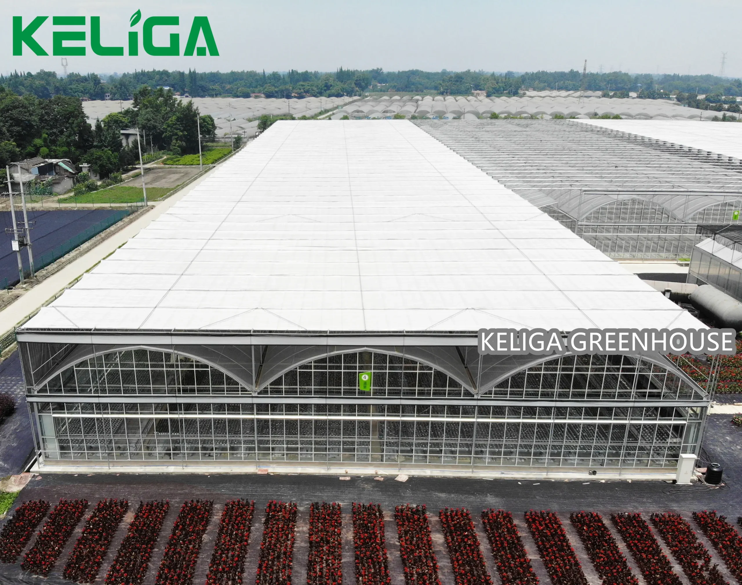 Plastic and glass combine greenhouse (5)