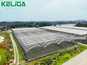 Smart Glass and Plastic Customized Greenhouse for Year-Round Precision Growing